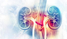 Study guides treatment of high blood pressure in diabetic nephropathy