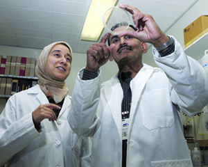  Subburaman Mohan, PhD (right), and research associate Bouchra Edderkaoui, PhD, of the Loma Linda VA examine osteoclast cells as part of their study on a gene that appears to regulate bone density.