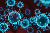 Elevated immune response leads to more severe COVID-19