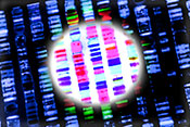 Two DNA sites linked to PTSD risk - Photo: ©iStock/Gio_tto