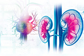 Heart problems linked to kidney problems