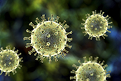 Herpes antibodies may partly protect against shingles