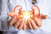 Chronic kidney disease care varies widely in VA system - Photo: ©iStock/Natali_Mis