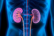 Kidney transplant patients have lower risk of death when receiving VA care