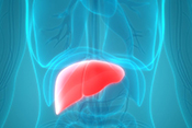 Diabetes drug metformin may lower liver cancer risk in diabetic patients