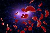 Sickle cell trait linked to increase risk of COVID-19 death - Image: ©Getty Images/EzumeImages