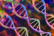 Largest-ever genetic study of suicide finds genetic risk factors
