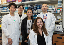  Dr. Laura E. Crotty Alexander (seated) leads a team that includes (from left) Howard Chang, Jarod Olay, Josephine Pham, and Dr. Jorge A. Masso-Silva, PhD. (Photo by Kevin Walsh)