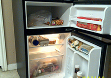 [This is a picture of what was] in my fridge when I first started the project.â€¯You see [there's] hardly anything in there? And see how small the fridge is?