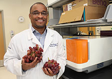 A grape-based cancer therapy?