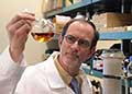Infection protection-Dr. Michael Riscoe and colleagues are developing a new drug to treat malaria. (Photo by Michael Moody) 