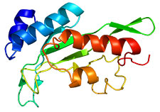 This computer-generated 3D model shows the structure of a protein encoded by tumor susceptibility gene 101. Mutations in this gene are common in breast cancer. (Image via Wikipedia) 