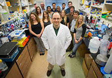 Dr. Chad Dickey and his team study Alzheimer's disease and other degenerative conditions.