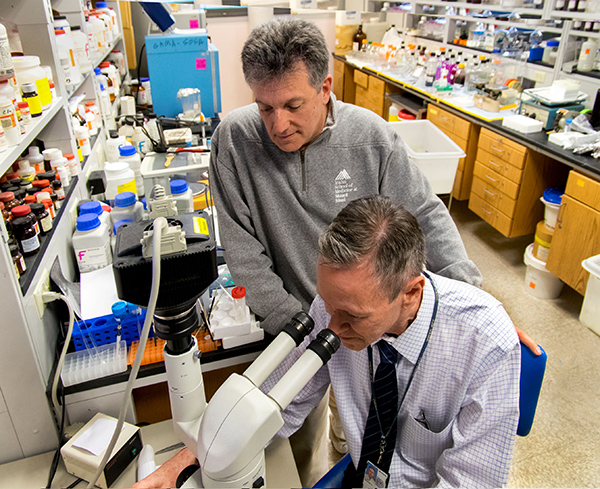 Dr. Sam Gandy (standing), seen here with colleague Dr. Greg Elder, is studying a promising Alzheimer's therapeutic called BCI-838.