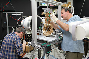 Improving the outcomes of fusion surgery in the thoracolumbar spine and pelvis. Researchers Dr. Leonard Voronov and Mr. Robert Havey assess spine motion in the Musculoskeletal Biomechanics Laboratory at the Edward Hines Jr. VA Hospital. They aim to determine whether surgical treatment is successful in improving spinal function and reducing chronic lower back pain.